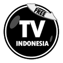 インドネシアのテレビ