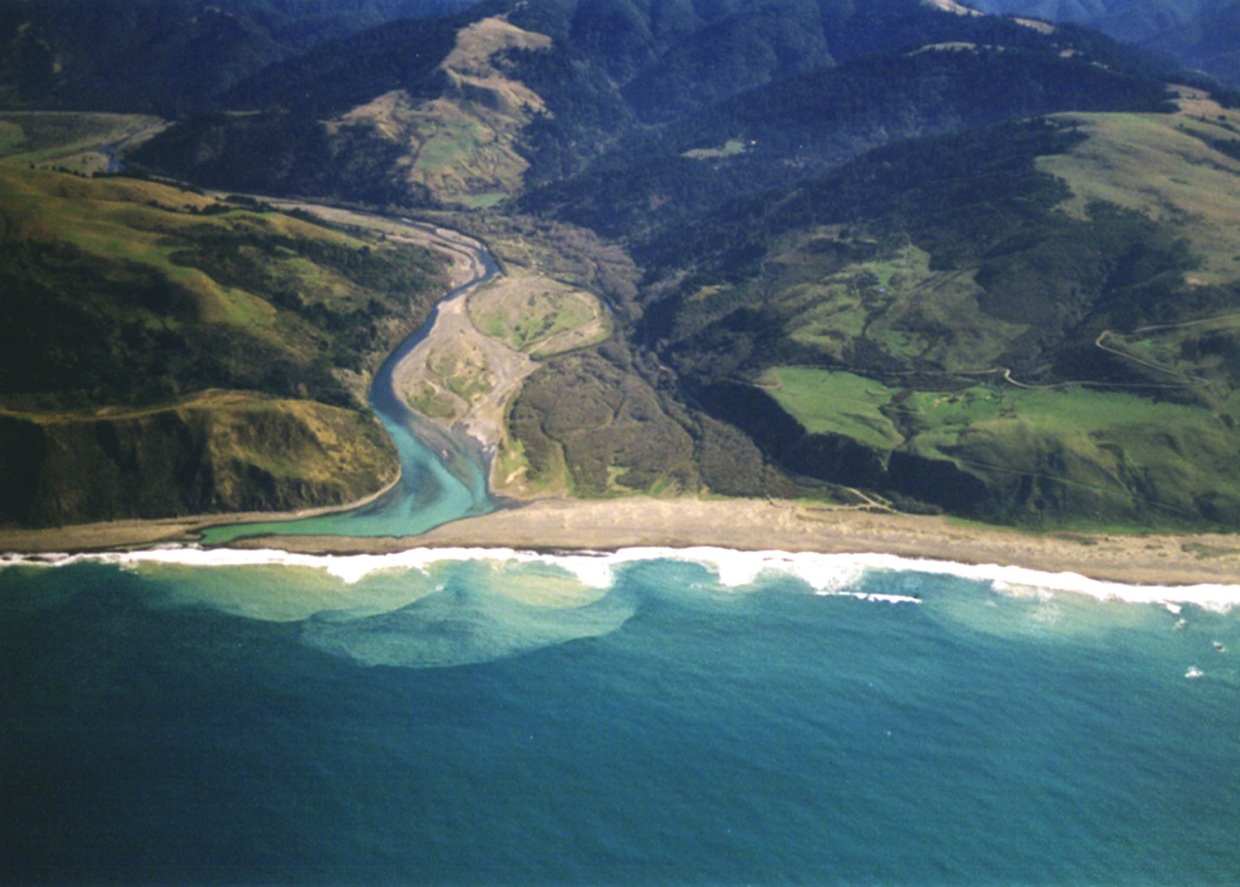 Ecossistema do estuário