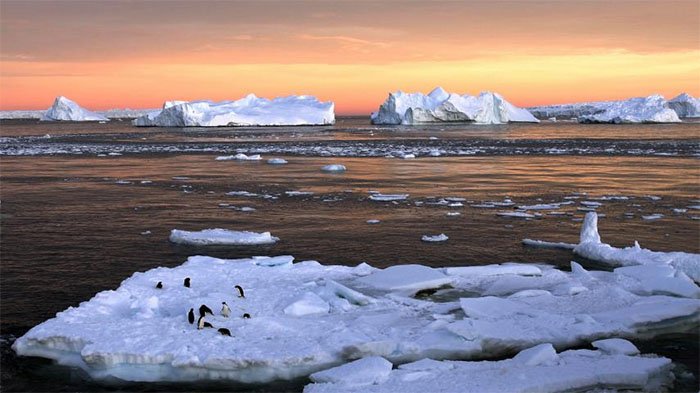 Auswirkungen der globalen Erwärmung auf die Umwelt