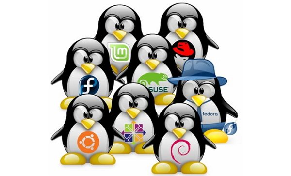 Розуміння дистрибутивів Linux та типи дистрибутивів Linux, які потрібно знати