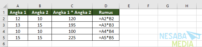 Multiplicación en Excel I